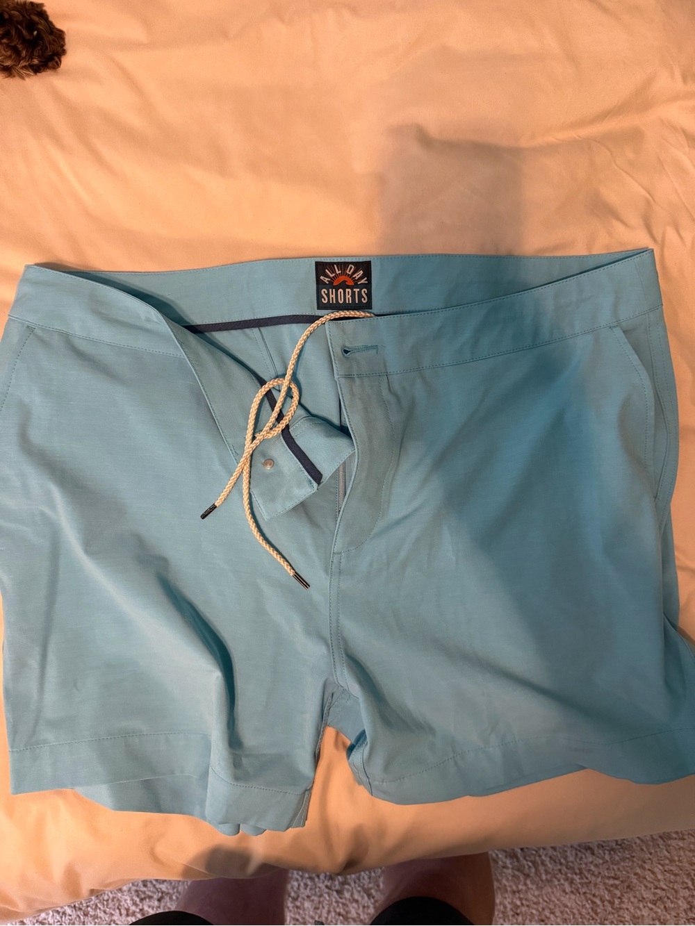 Faherty Brand Mens 38 All Day Shorts Light Blue Aqua 5" Inseam Hybrid Drawstring